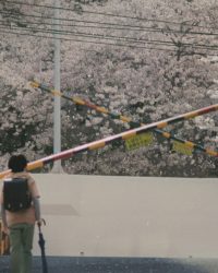 5 Centimet Trên Giây (Live Action)