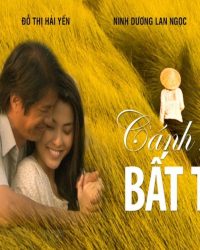 Cánh Đồng Bất Tận Cánh Đồng Bất Tận