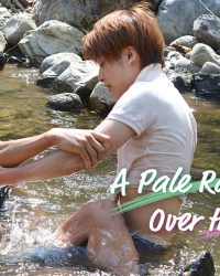 Cầu Vồng Nhợt Nhạt Trong Dòng Suối Róc Rách