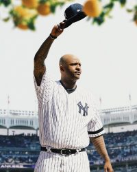 Dưới Bóng Cây Bưởi: Câu Chuyện Của Cc Sabathia