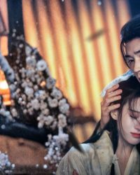 Giang Hồ Dạ Vũ Thập Niên Đăng Giang Hồ Dạ Vũ Thập Niên Đăng