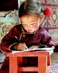 Hang Của Chú Chó Vàng