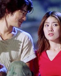 Hoa Oải Hương (Oải Hương Tím)