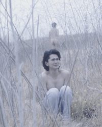 Không Lời