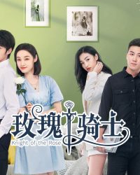 Kỵ Sĩ Hoa Hồng Kỵ Sĩ Hoa Hồng