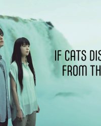 Nếu thế gian này không còn mèo