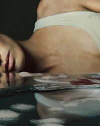Người Hầu Phòng Bí Ẩn (Phần 3) Người Hầu Phòng Bí Ẩn (Phần 3)