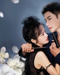 Nhất Thụ Lê Hoa, Nhất Khinh Châu Nhất Thụ Lê Hoa, Nhất Khinh Châu