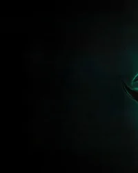 Nuôi Dưỡng Nuôi Dưỡng