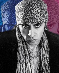 Stevie Van Zandt: Tín Đồ Nhạc Rock