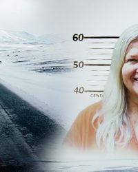 Tôi Không Phải Quái Vật: Kì Án Lois Riess