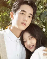 Xin Chào, Người Yêu Quất Tử Của Tôi / Xin Chào Người Tình Trái Quýt Xin Chào, Người Yêu Quất Tử Của Tôi / Xin Chào Người Tình Trái Quýt